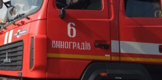 Вчора зранку рятувальники Берегівського району отримали виклик із села Тросник.