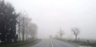 Густий туман накрив Закарпаття