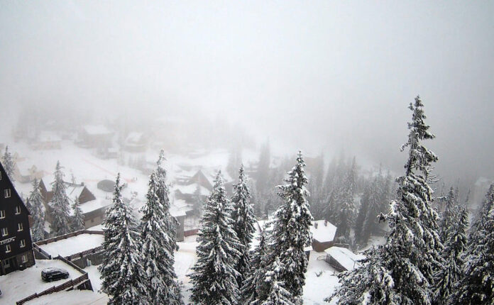 Ожеледиця та туман на перевалах Закарпаття