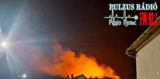 Наслідки пожежі на горі Кукля випалена трава лісова пожежа Мужієво 2026.