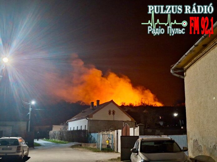 Наслідки пожежі на горі Кукля випалена трава лісова пожежа Мужієво 2026.