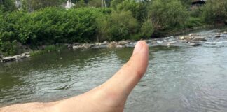 Це інвазивний (чужорідний) вид риб, який походить із Північної Америки